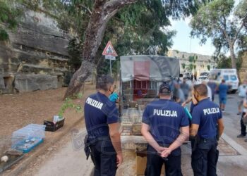 Vendita illegale di uccelli, scattano i sequestri al mercato di Floriana