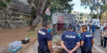 Vendita illegale di uccelli, scattano i sequestri al mercato di Floriana