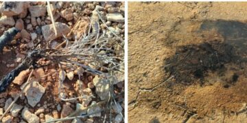 Accendono un falò su un’area protetta: «volevano arrostire marshmallow»