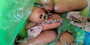Ritrovate salsicce imbottite di chiodi, trappole mortali per cani e gatti di Gozo