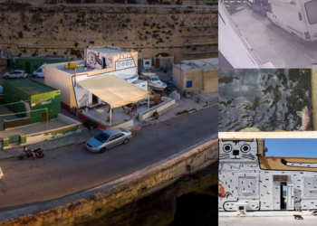 La polizia indaga su quello che sembra essere il “killer dei gatti”