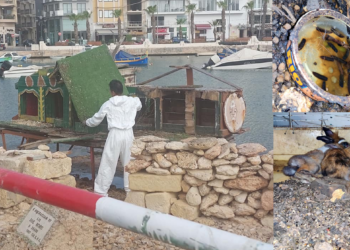 Demolito il villaggio delle anatre a Manoel Island. Per molti anni è stato punto di attrazione per turisti e residenti