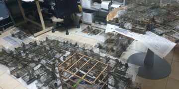 Cattura illegale a “scopi scientifici”: BirdLife non ci sta e chiede la revoca della legge