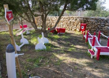A Gozo inaugurato “Qala Dog Park”, il primo parco dedicato interamente agli amici a quattro zampe