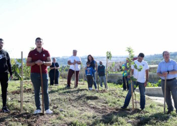 Con 750 tonnellate di rifiuti raccolti, più di 1.500 alberi saranno piantati in tutta l’isola
