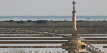 Preoccupano i lavori di scavo a Qawra; BirdLife richiede valutazione d’impatto sul Parco Naturale di Salina