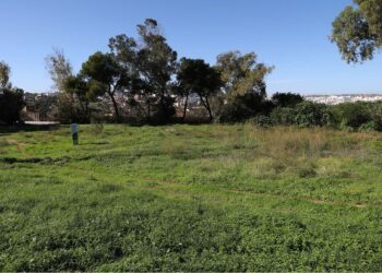 Ħal Farruġ: un terreno abbandonato si trasformerà in una grande area picnic per tutti