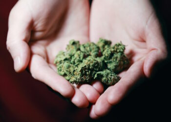 Malta è il primo Paese europeo a legalizzare la cannabis per uso ricreativo