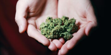 Malta è il primo Paese europeo a legalizzare la cannabis per uso ricreativo