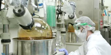 Cannabis medica: Panaxia riceve l’ok dall’UE per il suo impianto di produzione a Malta