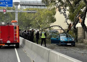 Paola: ramo cade rovinosamente su un’auto di passaggio