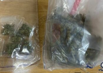 Traffico di droga a Gozo, cinque uomini in manette