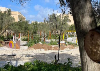 Il “Victor Calvagna garden” diventerà realtà, i lavori sono già iniziati