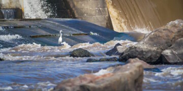 Gestione acque reflue: Commissione europea trascina Malta in tribunale per gli scarichi fuori limite in mare