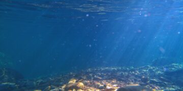 Gestione acque reflue: Commissione europea trascina Malta in tribunale per gli scarichi fuori limite in mare