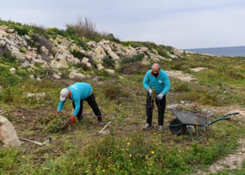 Venti milioni di euro trasformeranno un’area abbandonata nel più grande progetto di rimboschimento a sud dell’isola