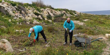Venti milioni di euro trasformeranno un’area abbandonata nel più grande progetto di rimboschimento a sud dell’isola