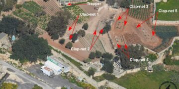 Bracconaggio, scovato uno dei più grandi siti di cattura illegale a Mqabba