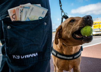 Quattro uomini sorpresi a lasciare Malta con 65mila euro in contanti non dichiarati