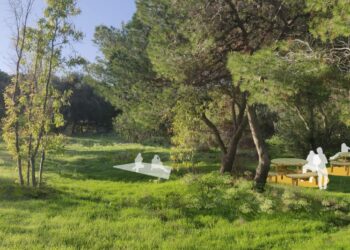 Mezzo milione di euro per portare il verde in città; anche Vittoriosa avrà presto la sua “oasi verde”