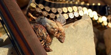 Caccia, al via oggi la stagione primaverile tra proteste e preoccupazioni