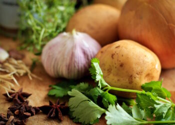 I rifiuti dei ristoranti trasformati in energia pulita, la scommessa nel progetto pilota del governo