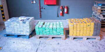 Droga, sequestro record: 800 chili di cocaina purissima nascosta tra le banane al porto di Birzebbugia