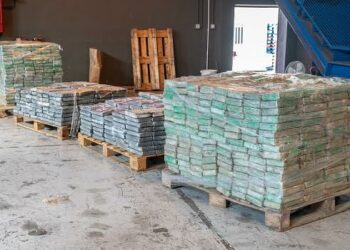 Cocaina nascosta tra le banane. Sequestro record da 1,5 tonnellate al Freeport