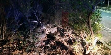 Schianto fatale per un motociclista di 35 anni. L’incidente nella notte sulla Coast road