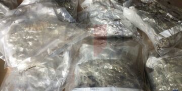 Droga su un gommone proveniente dalla Sicilia, 32enne finisce in manette