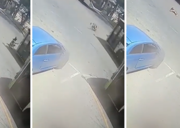 Sliema, donna investita da autobus mentre attraversa la strada