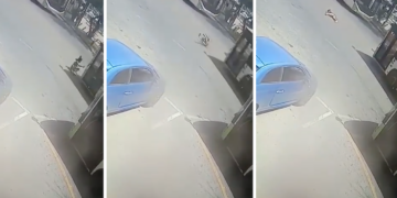 Sliema, donna investita da autobus mentre attraversa la strada