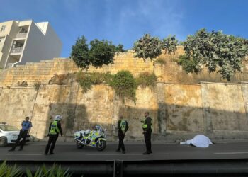 Scivola da un campo, cavallo si schianta in strada a Msida