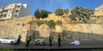 Scivola da un campo, cavallo si schianta in strada a Msida