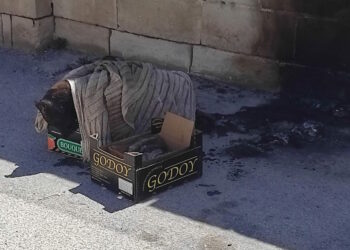 Orrore a Zebbug, rinvenuto cane dato alle fiamme