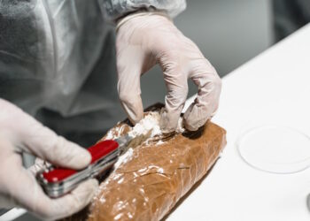 Controlli antidroga tra le forze dell’ordine; in tre lasciano la divisa