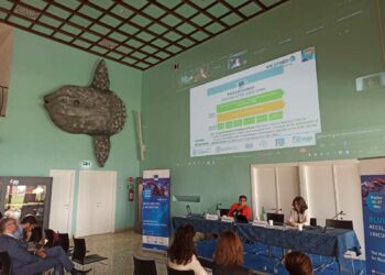 “Westmed in my country 2022”: rilanciare la blue economy nel Mediterraneo