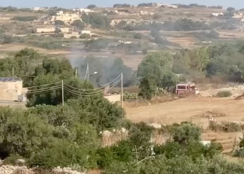Un incendio ha colpito un’azienda agricola di Lunzjata. Cane perde la vita tra le fiamme