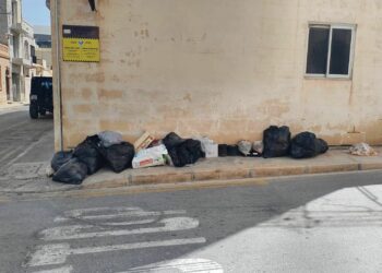 Rifiuti Birzebbugia
