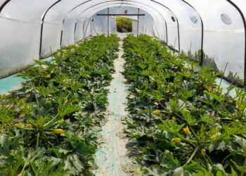 L’agricoltura innovativa e le nanotecnologie al Young Innovators Business Forum