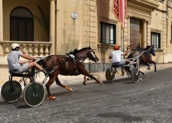 Corse dei cavalli a Sannat, il Comune cambia idea dopo la pressione mediatica sulla tutela degli animali