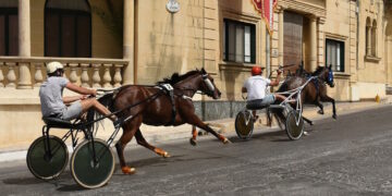 Corse dei cavalli a Sannat, il Comune cambia idea dopo la pressione mediatica sulla tutela degli animali