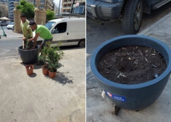 Sliema, ladri-vandali in azione rubano piante dalle fioriere pubbliche