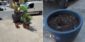 Sliema, ladri-vandali in azione rubano piante dalle fioriere pubbliche