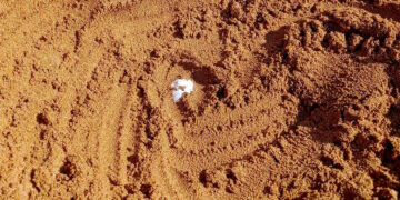 Stupore a Gozo: individuate le prime uova di tartarughe marine della stagione