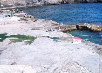 Mare inquinato, la zona di Qui Si Sana torna a “colorarsi” di verde