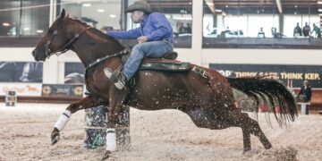 Oltre duecento cavalli sbarcheranno a Malta per la celebre gara internazionale “Golden Buckle Barrel Race”