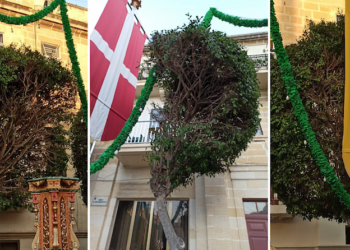 A Senglea si sacrificano gli alberi in nome dei festeggiamenti