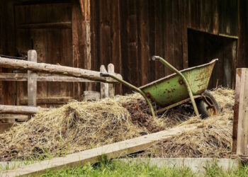 Blitz antidroga a Marsa, la droga era nascosta tra il letame ed il mangime dei cavalli
