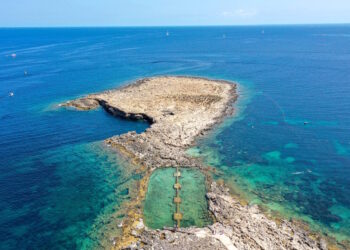 Addio caccia: Qawra Point diventa riserva naturale